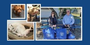Our 2020 Gulf Coast Humane Society Donation supports pets like ours!